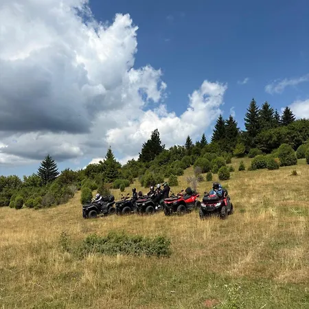 Hidden Pines